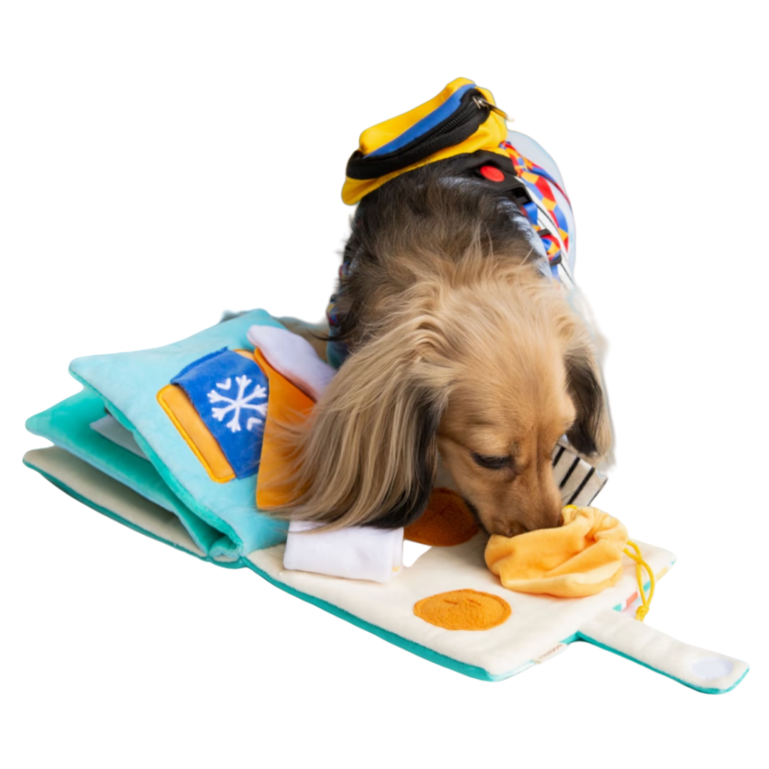 Interactive Snuffle Book for Dogs - Convenience Store