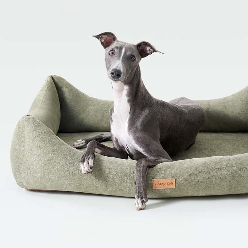Four-Sided Dog Sofa Bed