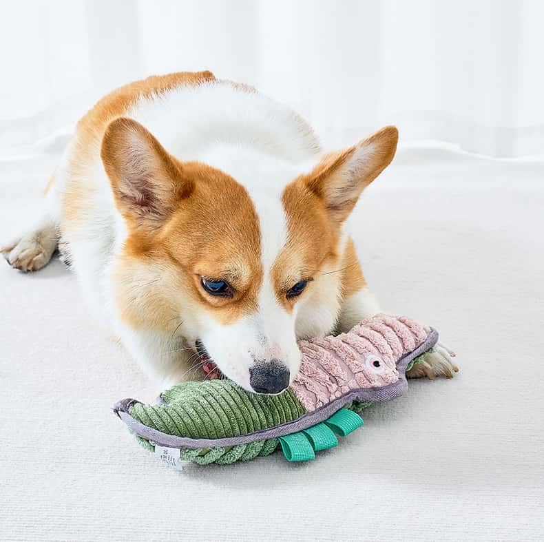 Durable Cotton Rope Dog Toy with Squeaker