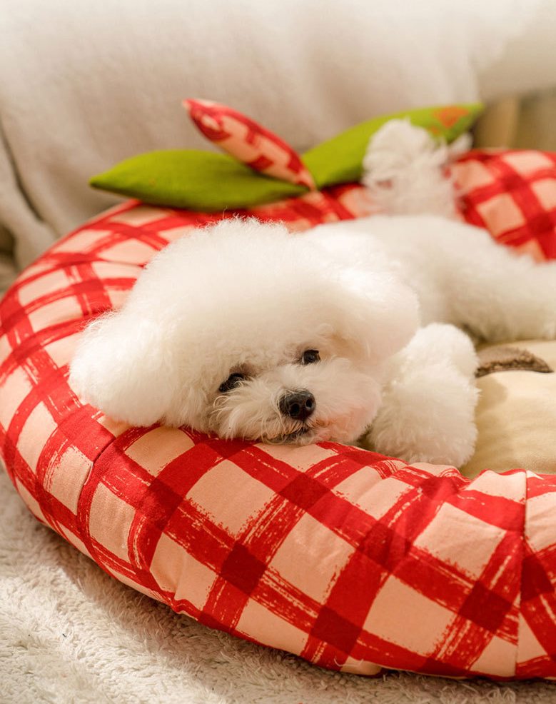 Cozy Apple Pet Bed