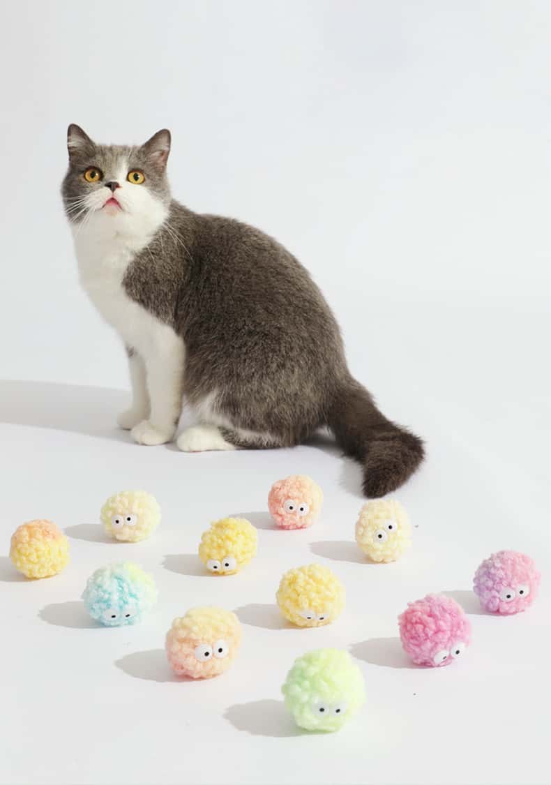 Cute Egg Cat Toys