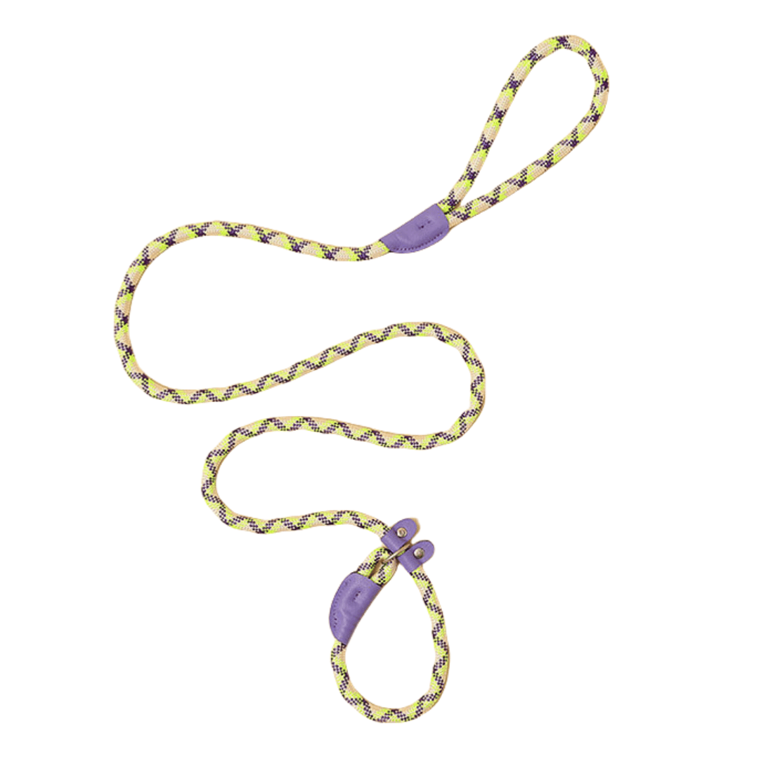 Pro-Grade Slip Lead - Purple and Green