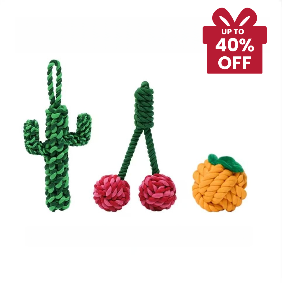 Botanical Garden Dog Rope Toy – Pack Combo