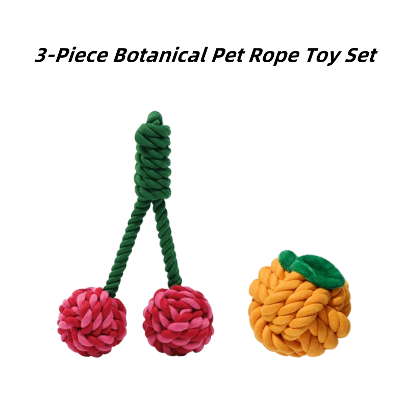 Botanical Garden Dog Rope Toy – Pack Combo