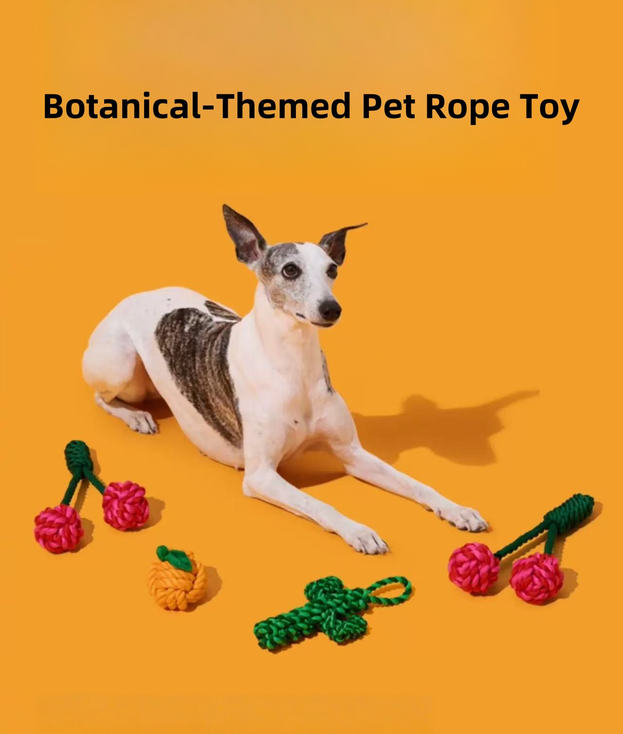 Botanical Garden Dog Rope Toy – Pack Combo