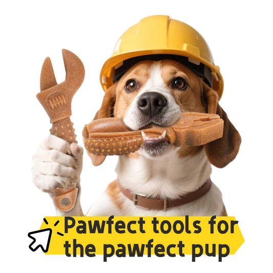 Does Your Dog Keep Chewing Everything? 5 Toys That Saved My Furniture.