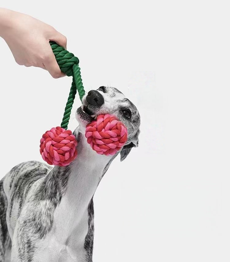 Best Indestructible Dog Toys for 2025