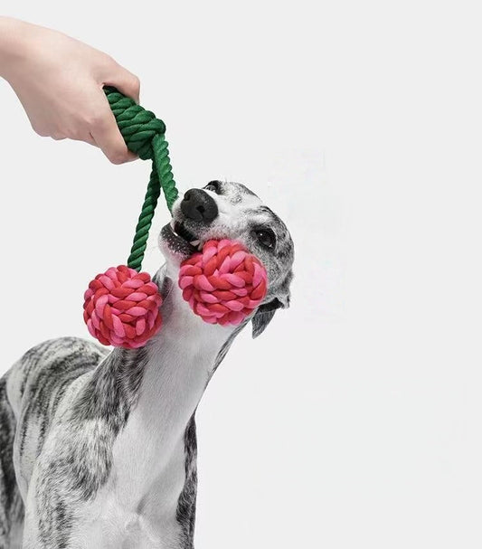 Best Indestructible Dog Toys for 2025