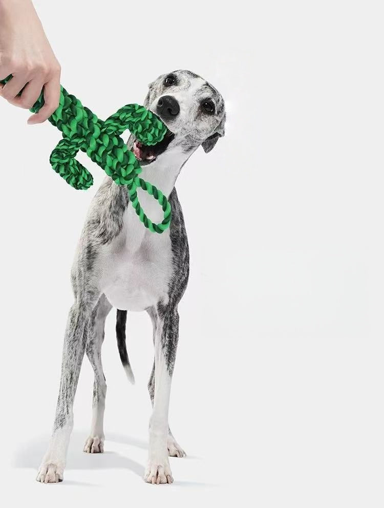 Botanical Garden Dog Rope Toy – Cactus