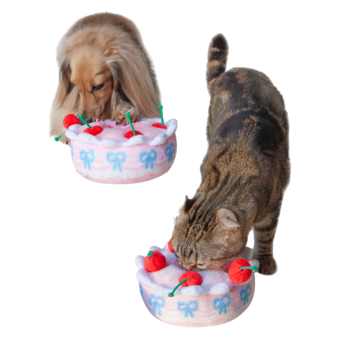 Interactive Snuffle Toy for Dogs and Cats - Birthday Cake