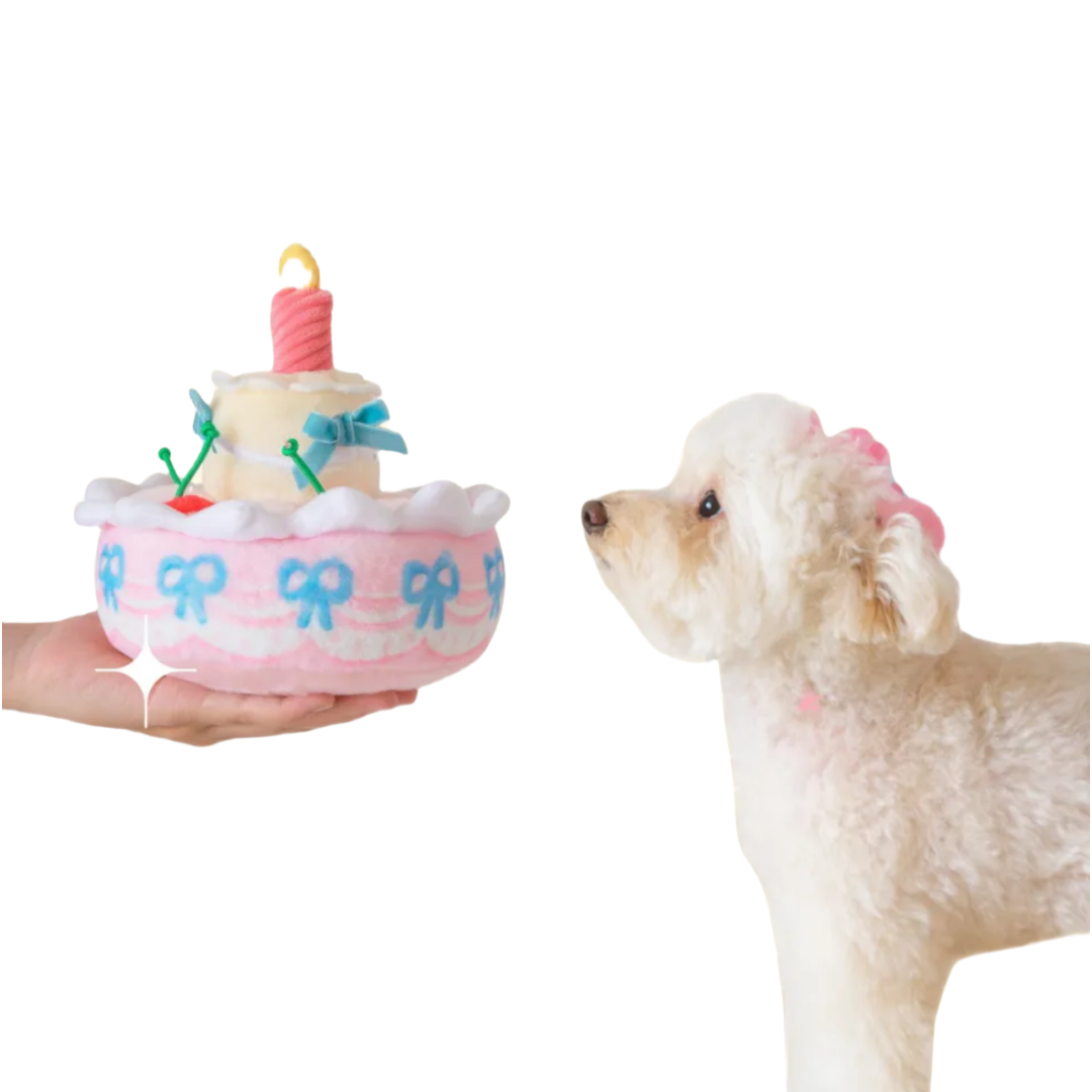 Interactive Snuffle Toy for Dogs and Cats - Birthday Cake