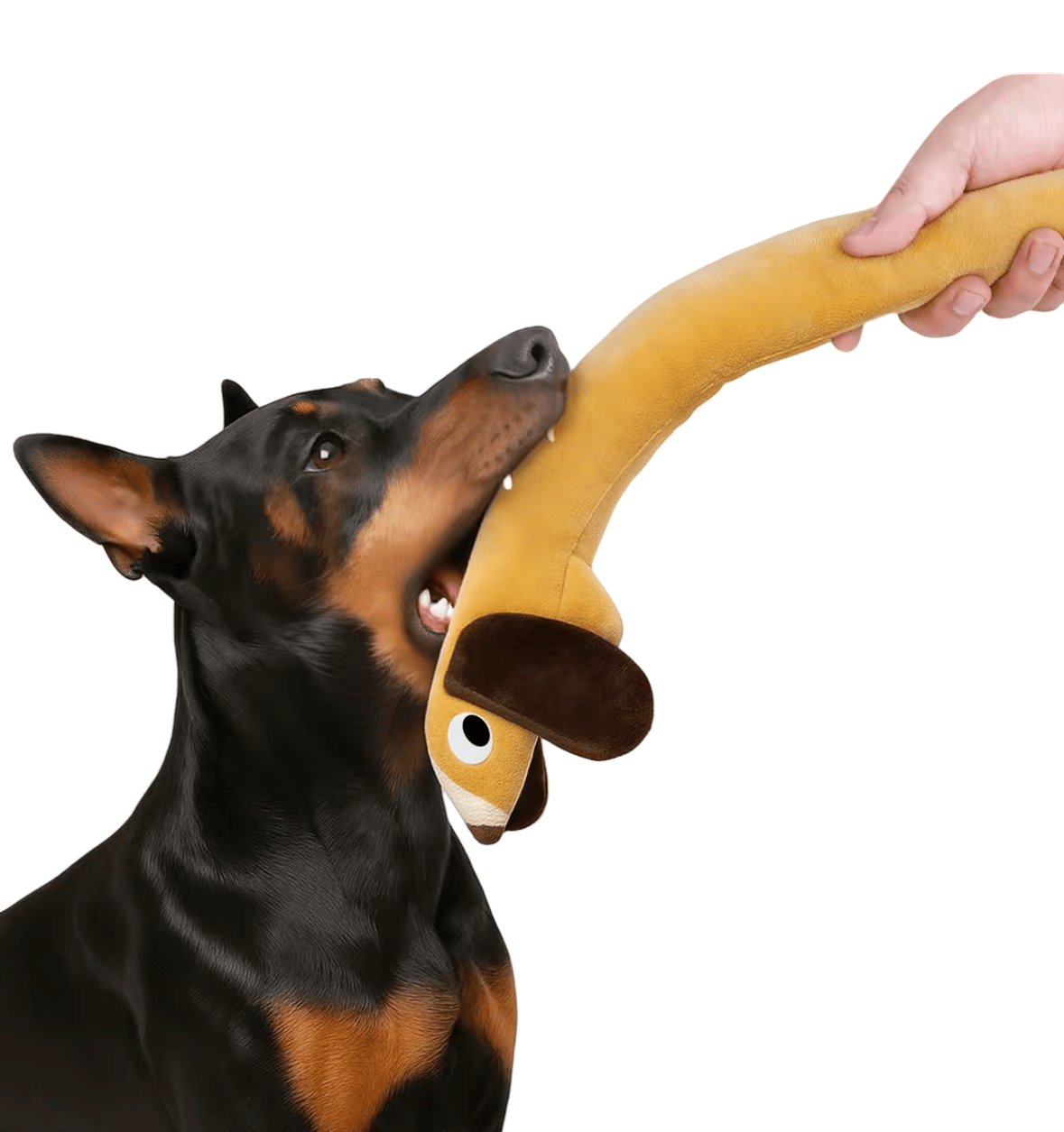 Sausage Dog Plush Toy – 1 Meter Long with Crinkle & Squeaker