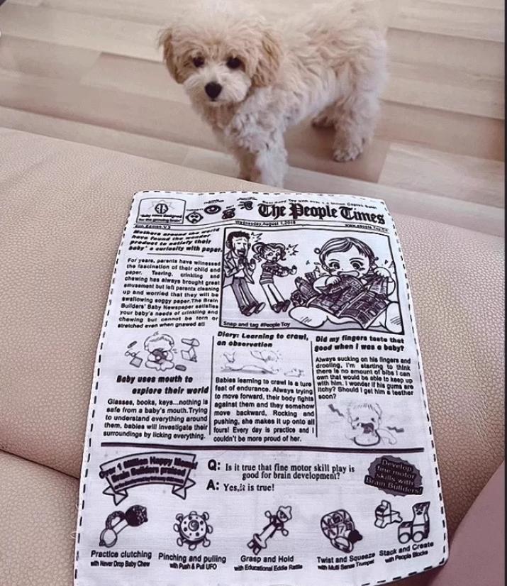 Squeaky Newspaper Dog Toy – Crinkle Paper Inside for Extra Fun
