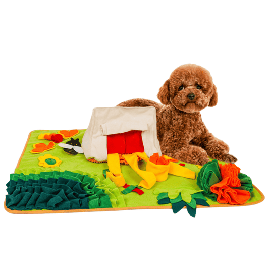 Interactive Snuffle Mat for Dogs - Garden Camping