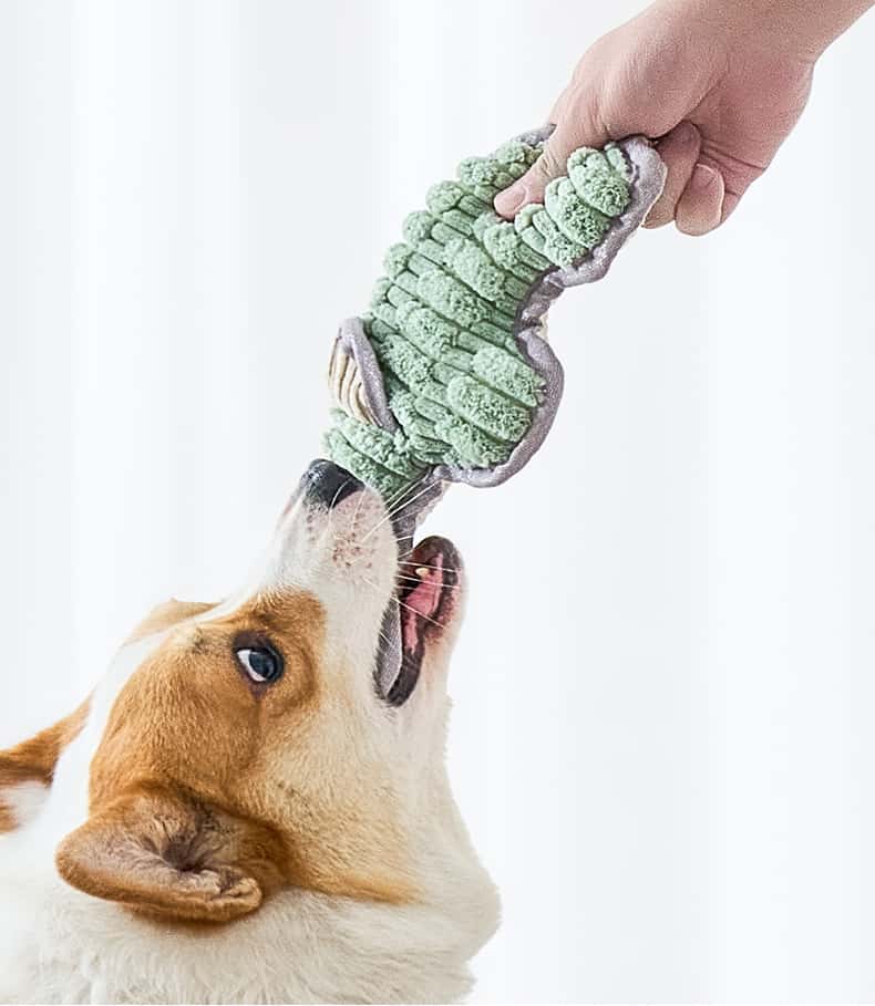 Durable Cotton Rope Dog Toy with Squeaker