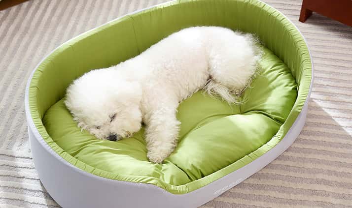 Dog Bed with Removable Cushion