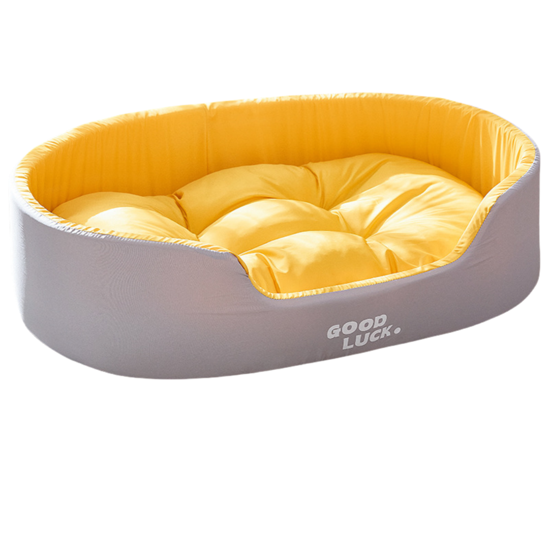 Dog Bed with Removable Cushion