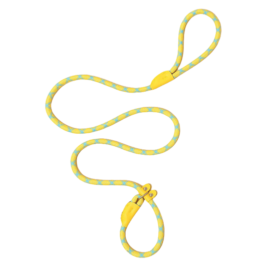 Pro-Grade Slip Lead - Yellow and Blue