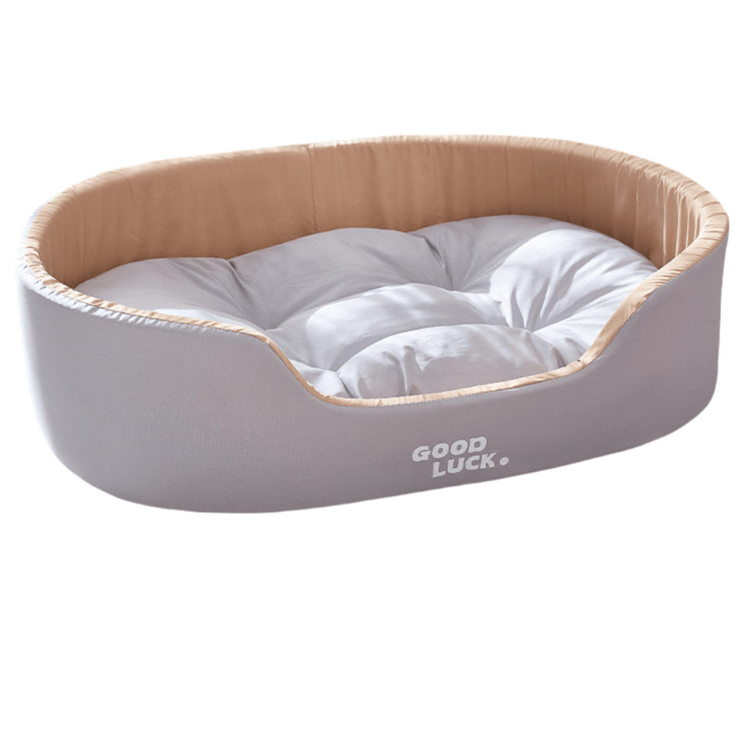 Dog Bed with Removable Cushion