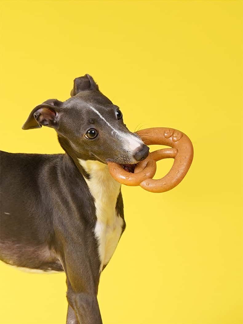 Natural Wood Fiber Pretzel Chew Toy – Eco-Friendly