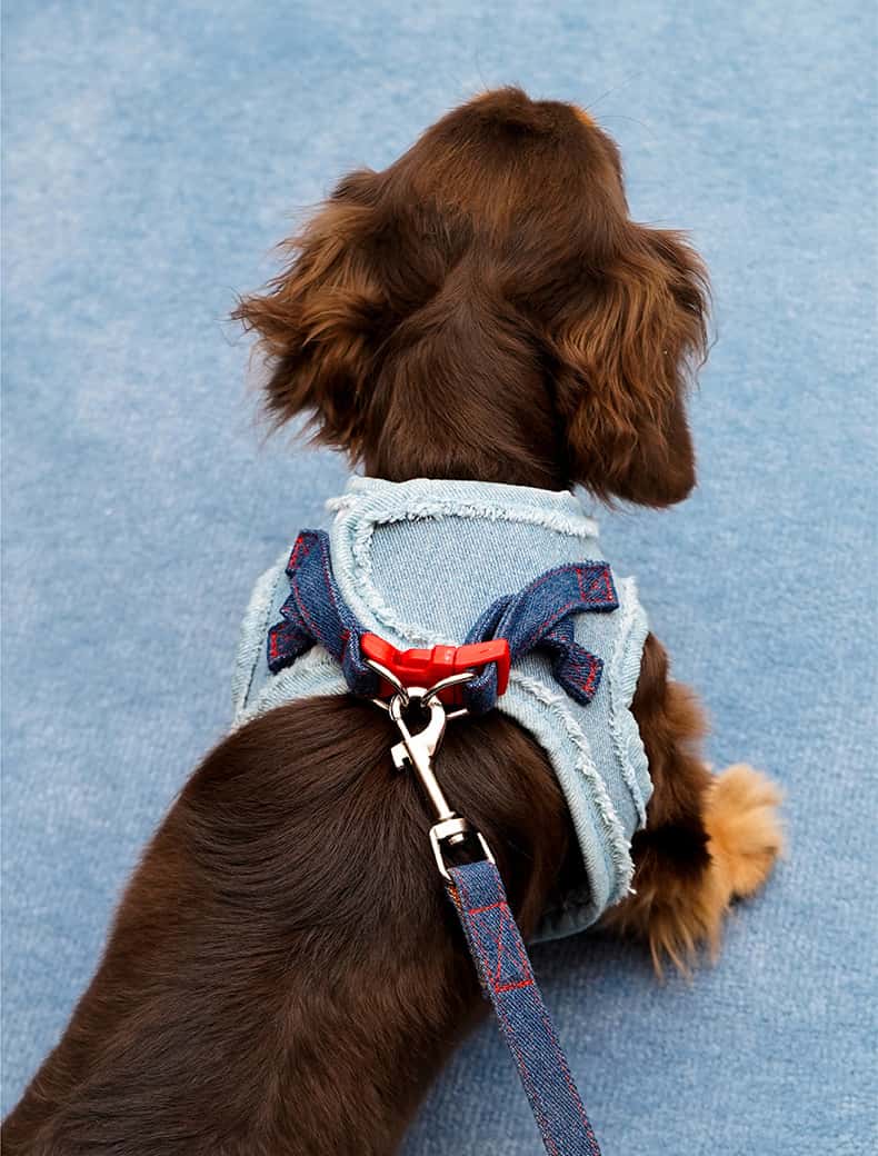 Denim Dog Harness & Leash Set