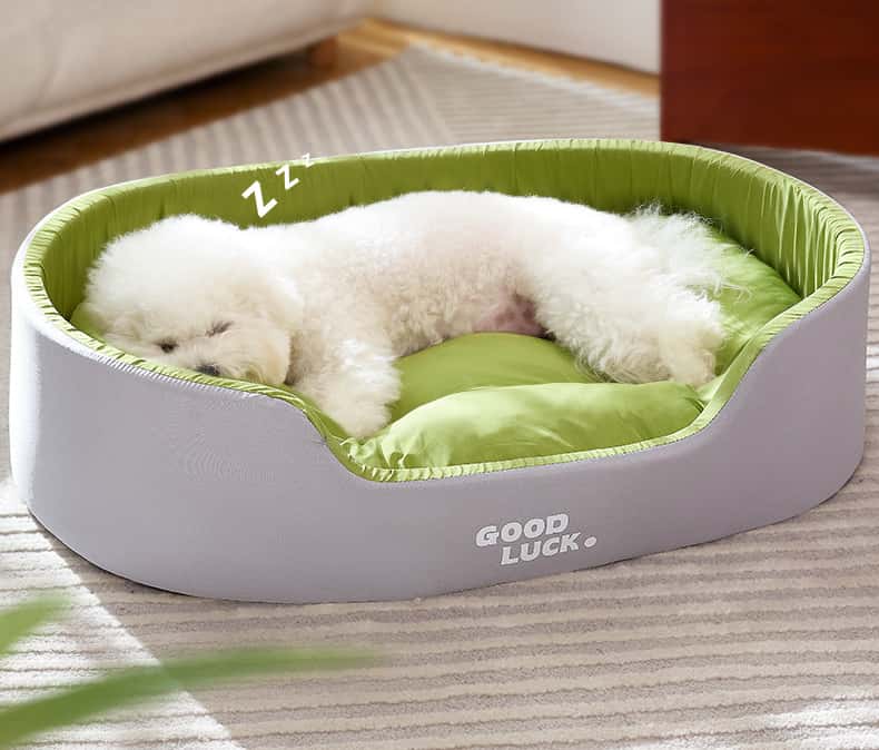 Dog Bed with Removable Cushion