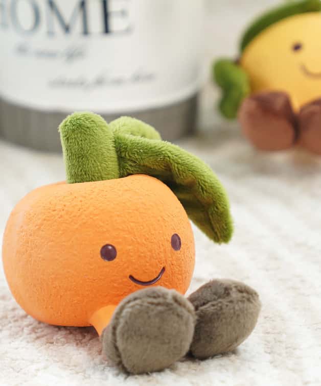 Fruity Chewables Dog Toy –  Orange