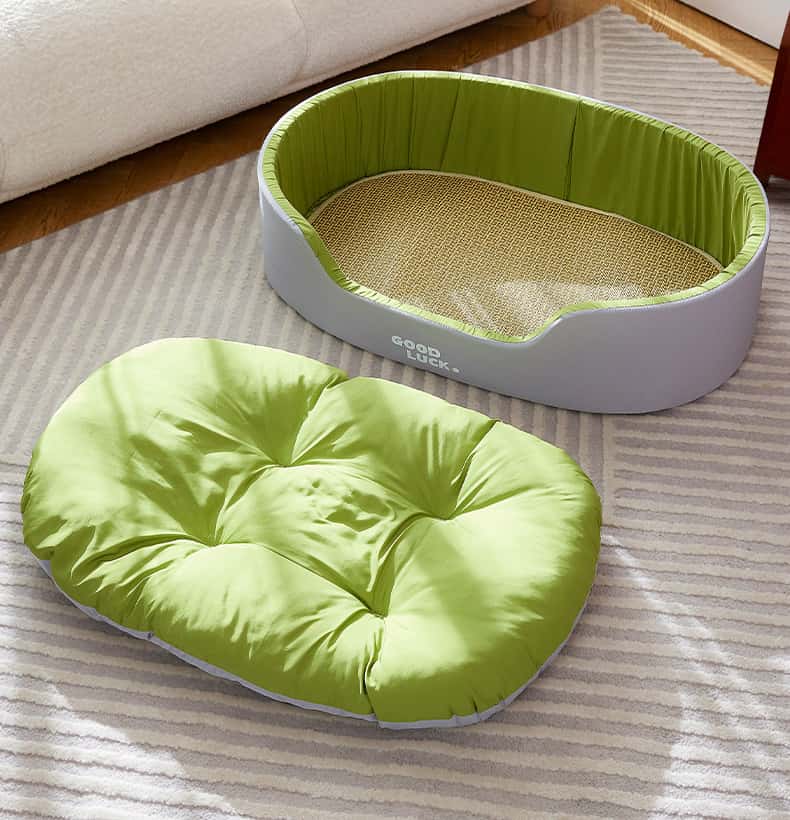 Dog Bed with Removable Cushion