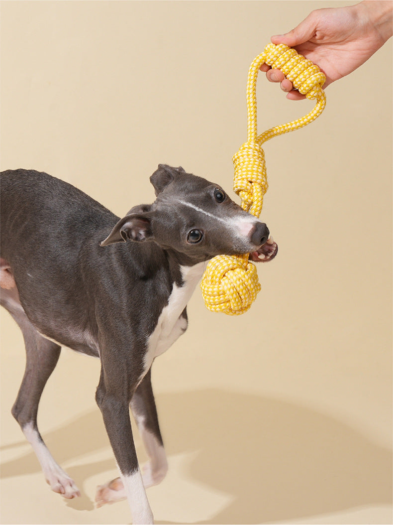 Durable Rope Tug Toy with Squeaker