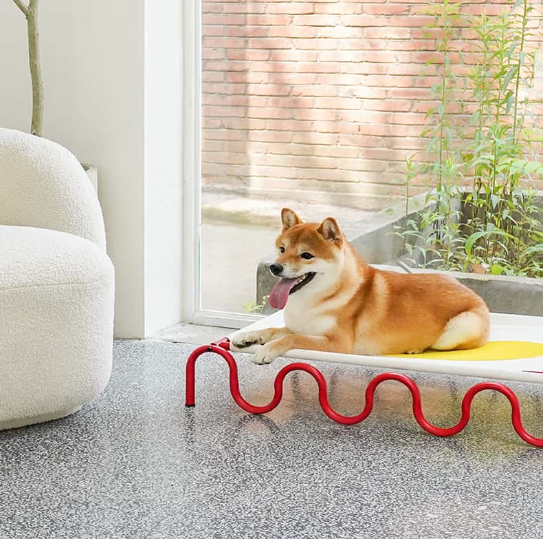 Everyday Outdoor Dog Bed