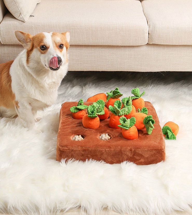 Interactive Snuffle Toy for Dogs - Carrot Garden