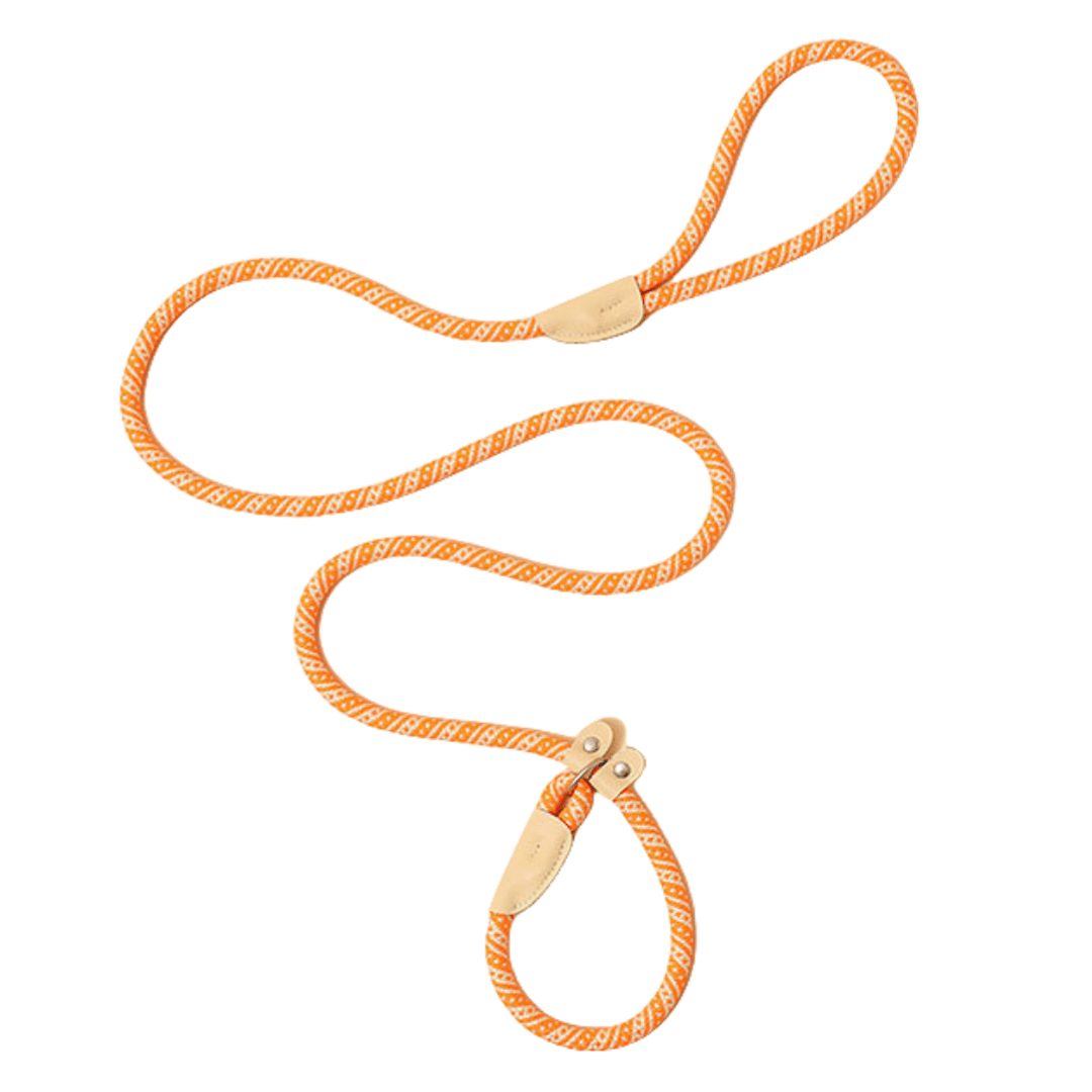 Pro-Grade Slip Lead - Orange