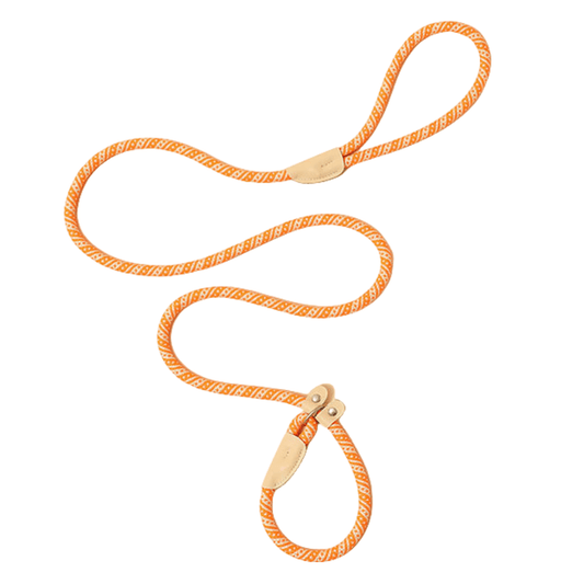 Pro-Grade Slip Lead - Orange
