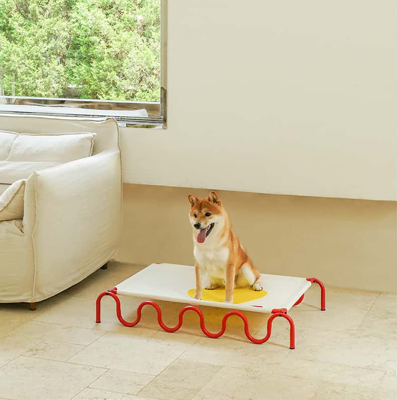 Everyday Outdoor Dog Bed