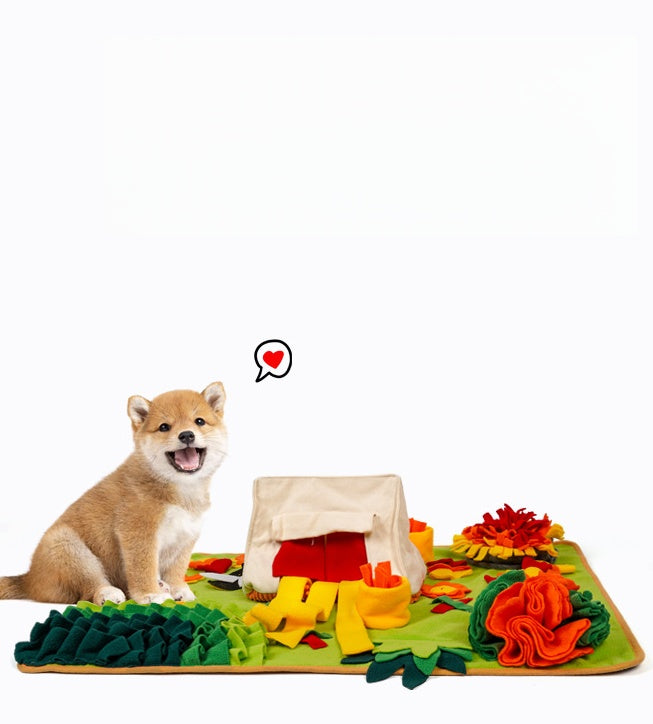 Interactive Snuffle Mat for Dogs - Garden Camping