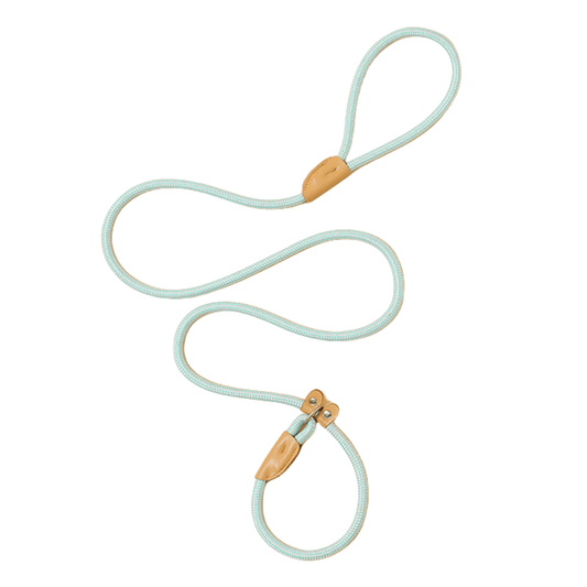 Pro-Grade Slip Lead - Light Blue